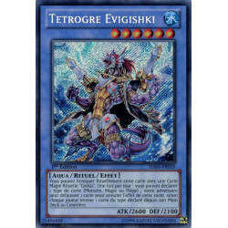 yu-gi-oh-tcg-ha06-fr018-se-tetrogre-evigishki-arsenal-mysterieux-6-omega-xyz