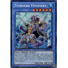 yu-gi-oh-tcg-ha06-fr018-se-tetrogre-evigishki-arsenal-mysterieux-6-omega-xyz