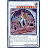 yu-gi-oh-tcg-ha06-fr022-se-alpha-vylon-arsenal-mysterieux-6-omega-xyz