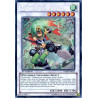 yu-gi-oh-tcg-ha06-fr024-se-daigusto-sphreez-arsenal-mysterieux-6-omega-xyz