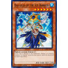 yu-gi-oh-tcg-hac1-en033-c-dai-sojo-of-the-ice-barrier-hidden-arsenal-chapter-1