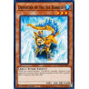 yu-gi-oh-tcg-hac1-en043-c-defender-of-the-ice-barrier-hidden-arsenal-chapter-1