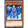yu-gi-oh-tcg-hac1-en048-c-secret-guards-of-the-ice-barrier-hidden-arsenal-chapter-1
