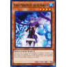yu-gi-oh-tcg-hac1-en050-c-dance-princess-of-the-ice-barrier-hidden-arsenal-chapter-1