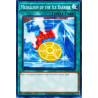 yu-gi-oh-tcg-hac1-en055-c-medallion-of-the-ice-barrier-hidden-arsenal-chapter-1