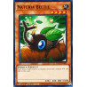 yu-gi-oh-tcg-hac1-en093-c-naturia-beetle-hidden-arsenal-chapter-1