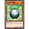yu-gi-oh-tcg-hac1-en094-c-naturia-rock-hidden-arsenal-chapter-1