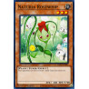 yu-gi-oh-tcg-hac1-en099-c-naturia-rosewhip-hidden-arsenal-chapter-1