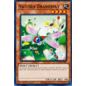 yu-gi-oh-tcg-hac1-en101-c-naturia-dragonfly-hidden-arsenal-chapter-1