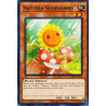 yu-gi-oh-tcg-hac1-en102-c-naturia-sunflower-hidden-arsenal-chapter-1