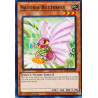 yu-gi-oh-tcg-hac1-en108-c-naturia-butterfly-hidden-arsenal-chapter-1