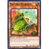 yu-gi-oh-tcg-hac1-en112-c-naturia-stinkbug-hidden-arsenal-chapter-1