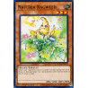 yu-gi-oh-tcg-hac1-en114-c-naturia-ragweed-hidden-arsenal-chapter-1