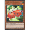 yu-gi-oh-tcg-hac1-en116-ur-naturia-cherries-hidden-arsenal-chapter-1
