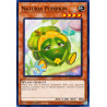 yu-gi-oh-tcg-hac1-en117-c-naturia-pumpkin-hidden-arsenal-chapter-1