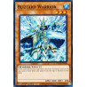 yu-gi-oh-tcg-hac1-en030-dtnpr-blizzard-warrior-hidden-arsenal-chapter-1