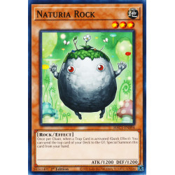 yu-gi-oh-tcg-hac1-en094-dtnpr-naturia-rock-hidden-arsenal-chapter-1