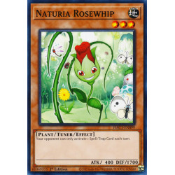 yu-gi-oh-tcg-hac1-en099-dtnpr-naturia-rosewhip-hidden-arsenal-chapter-1