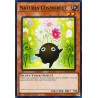 yu-gi-oh-tcg-hac1-en100-dtnpr-naturia-cosmobeet-hidden-arsenal-chapter-1