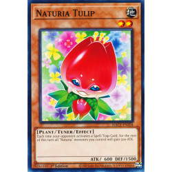 yu-gi-oh-tcg-hac1-en104-dtnpr-naturia-tulip-hidden-arsenal-chapter-1