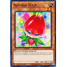 yu-gi-oh-tcg-hac1-en104-dtnpr-naturia-tulip-hidden-arsenal-chapter-1