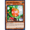 yu-gi-oh-tcg-hac1-en109-dtnpr-naturia-ladybug-hidden-arsenal-chapter-1
