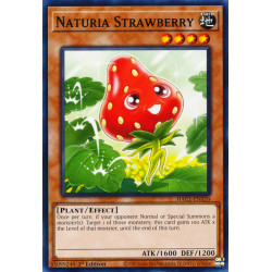 yu-gi-oh-tcg-hac1-en110-dtnpr-naturia-strawberry-hidden-arsenal-chapter-1