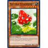 yu-gi-oh-tcg-hac1-en110-dtnpr-naturia-strawberry-hidden-arsenal-chapter-1