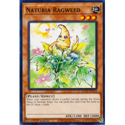 yu-gi-oh-tcg-hac1-en114-dtnpr-naturia-ragweed-hidden-arsenal-chapter-1
