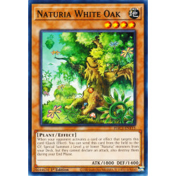 yu-gi-oh-tcg-hac1-en115-dtnpr-naturia-white-oak-hidden-arsenal-chapter-1