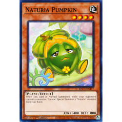 yu-gi-oh-tcg-hac1-en117-dtnpr-naturia-pumpkin-hidden-arsenal-chapter-1
