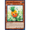 yu-gi-oh-tcg-hac1-en118-dtnpr-naturia-pineapple-hidden-arsenal-chapter-1