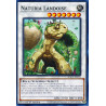 yu-gi-oh-tcg-hac1-en123-dtnpr-naturia-landoise-hidden-arsenal-chapter-1