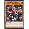 yu-gi-oh-tcg-hac1-en143-dtnpr-fabled-dianaira-hidden-arsenal-chapter-1