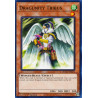 yu-gi-oh-tcg-hac1-en151-dtnpr-dragunity-tribus-hidden-arsenal-chapter-1