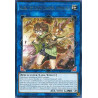yu-gi-oh-tcg-igas-en048-r-aussa-the-earth-charmer-immovable-ignition-assault