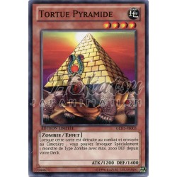 GLD5-FR003 Pyramid Turtle