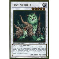 GLD5-FR032 Lion Naturia