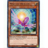 yu-gi-oh-tcg-kico-en032-r-majestic-dragon-king-s-court