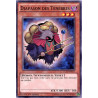 yu-gi-oh-tcg-lc5d-fr057-c-diapason-des-tenebres-collection-legendaire-5d-s-mega-pack