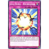 yu-gi-oh-tcg-lc5d-fr142-c-aile-noire-bourrasque-collection-legendaire-5d-s-mega-pack
