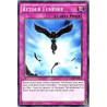 yu-gi-oh-tcg-lc5d-fr143-c-retour-funebre-collection-legendaire-5d-s-mega-pack