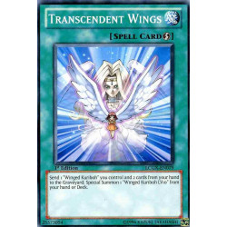 yu-gi-oh-tcg-lcgx-en079-c-transcendent-wings-legendary-collection-2-the-duel-academy-years-mega-pack