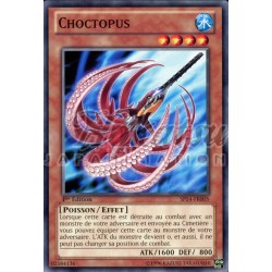 SP14-FR005 Choctopus