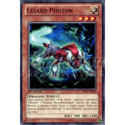 SP14-FR006 Lézard Photon