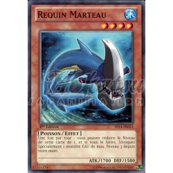 SP14-FR013 Requin Marteau