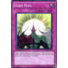 yu-gi-oh-tcg-lcgx-en110-sr-hero-ring-legendary-collection-2-the-duel-academy-years-mega-pack