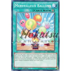SP15-FR042 Merveilleux Ballons