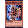 yu-gi-oh-tcg-lcjw-en087-sr-paladin-amazonesse-collection-legendaire-4-le-monde-de-joey-mega-pack