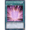 yu-gi-oh-tcg-lcjw-en127-c-excavation-de-pierre-magique-collection-legendaire-4-le-monde-de-joey-mega-pack